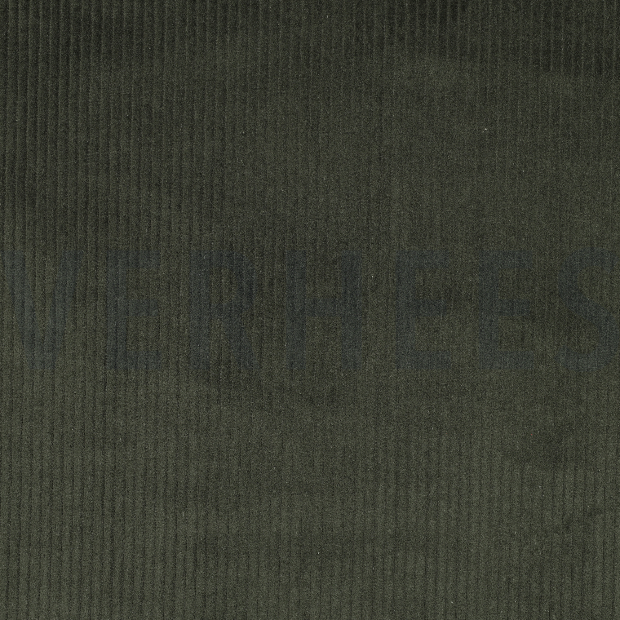 VeloursCôtelé -Hunter- 25cmx142cm – Image 4